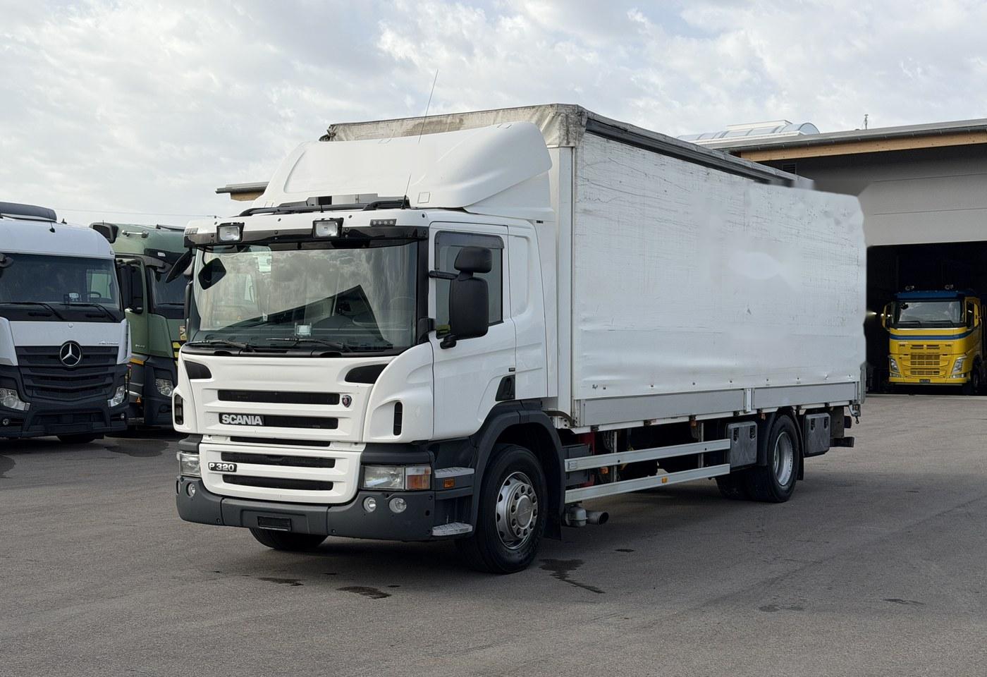 2010 SCANIA P320 4x2 LBW - Fahrzeugfoto