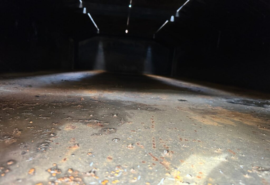 Thermosilo 1 Kammer