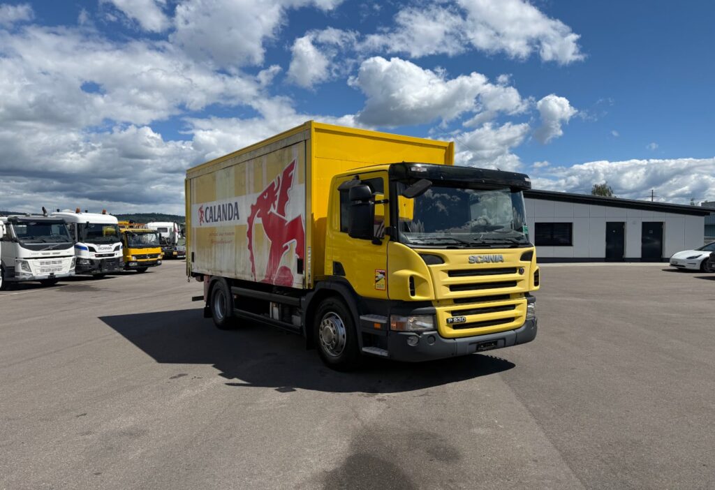 2005 Scania P230 LB 4x2 Plane/HB