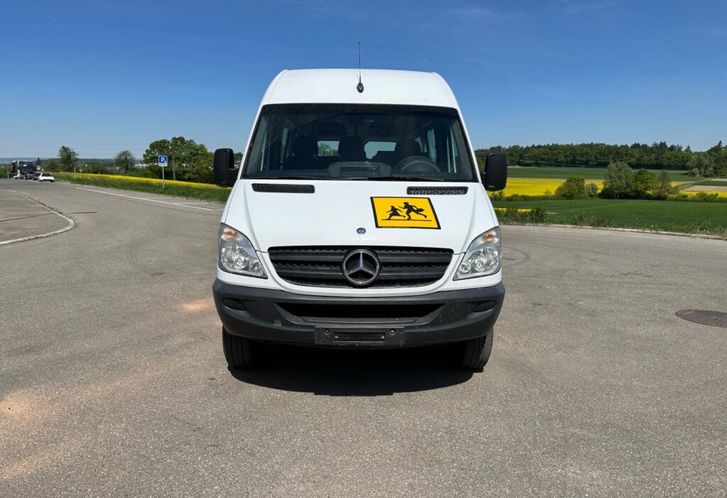 2008 Mercedes-Benz 315 CDI 4x4 20 Plätze