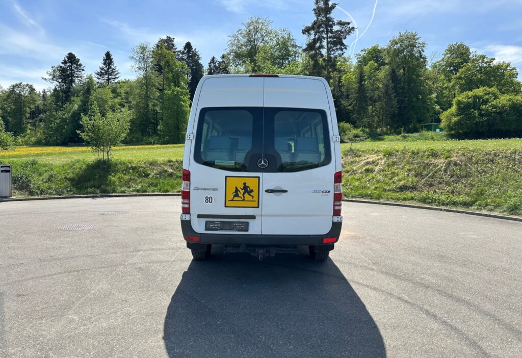 2008 Mercedes-Benz 315 CDI 4x4 20 Plätze