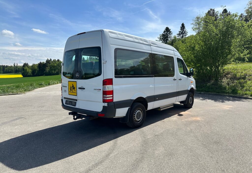2008 Mercedes-Benz 315 CDI 4x4 20 Plätze